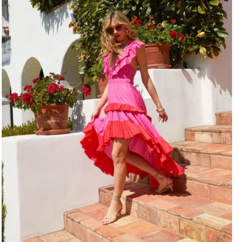 NWT VICI Dress